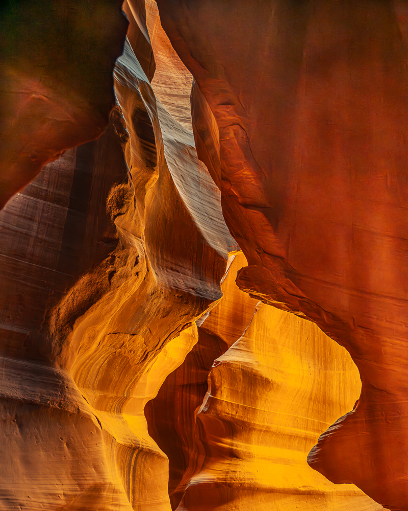 Colors of the Canyon by Joey Johnson (Group 1)
